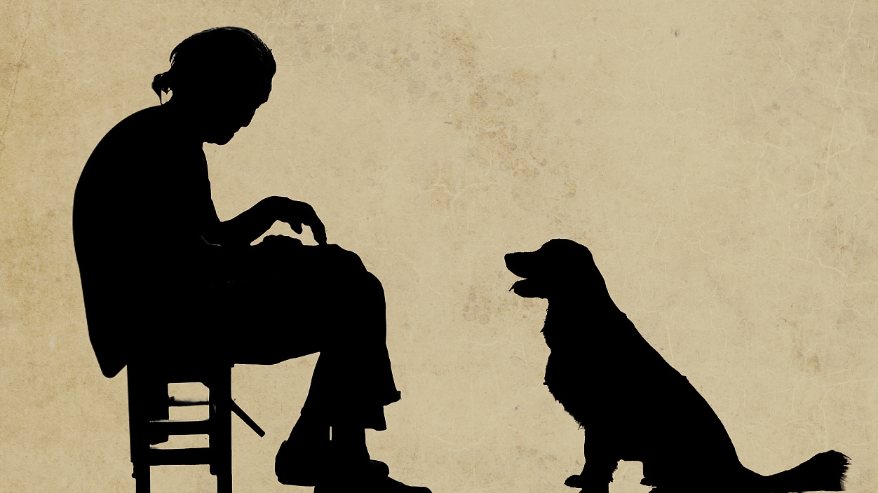 “空巢”不“空心”，超1億空巢老人如何老有頤養(yǎng)、老有所樂？