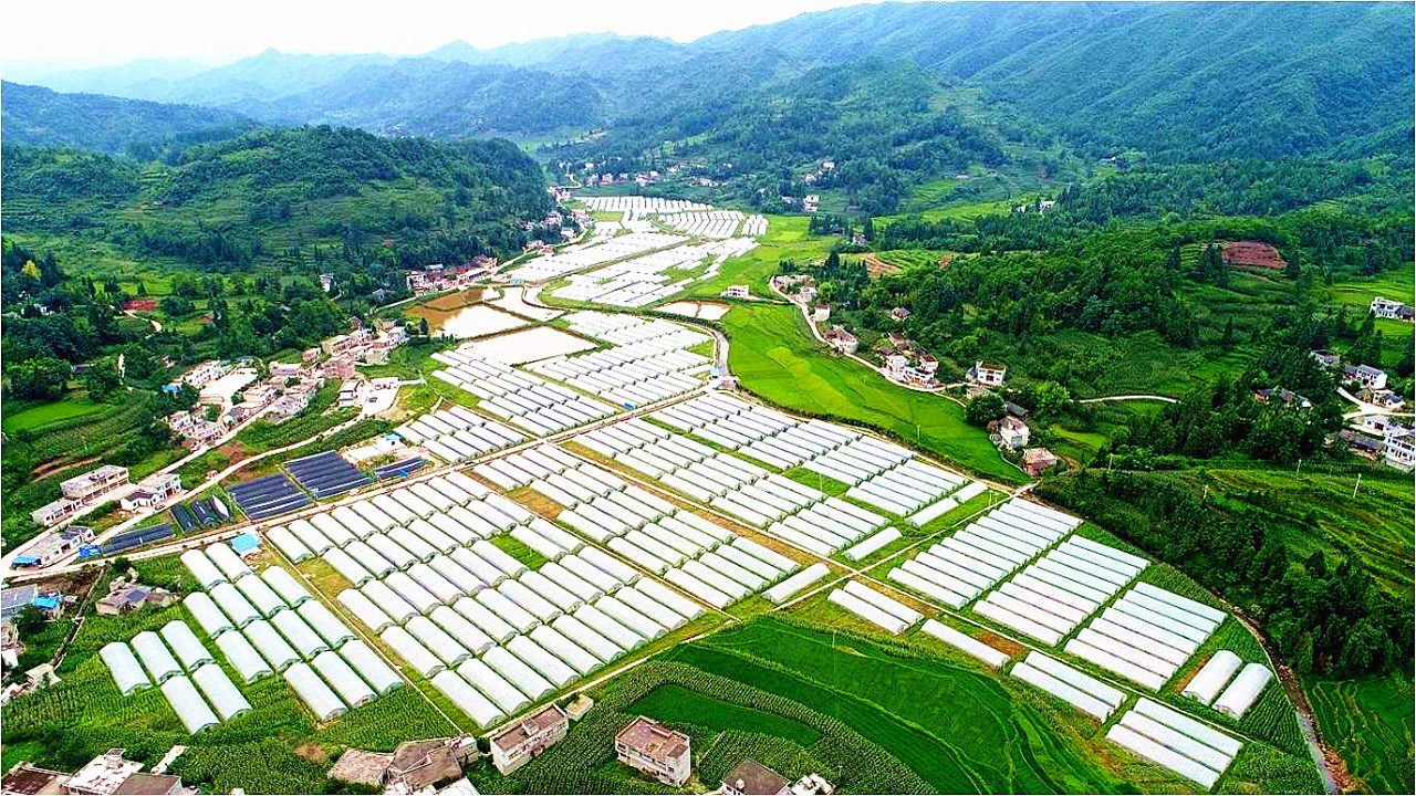 高強：以縣域城鄉融合發展引領鄉村全面振興