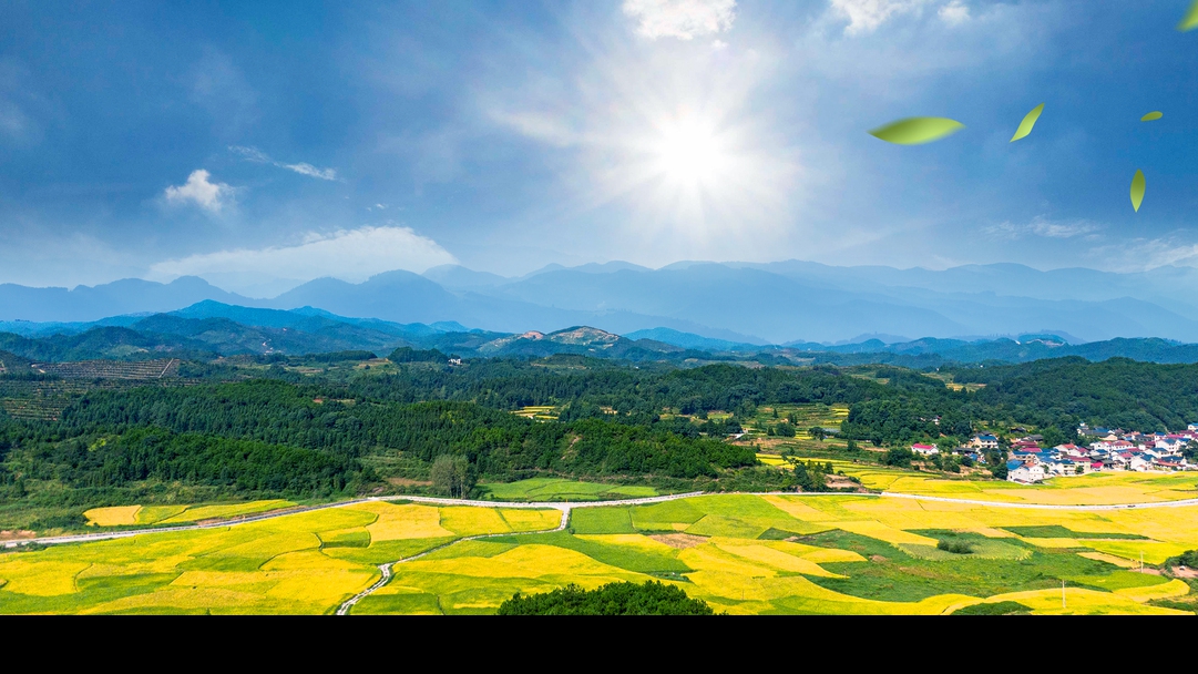 經濟日報刊文：形式主義、官僚主義是鄉村振興的最大危害
