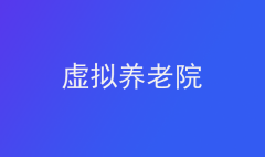 虛擬養老院：含義、問題與創新路徑